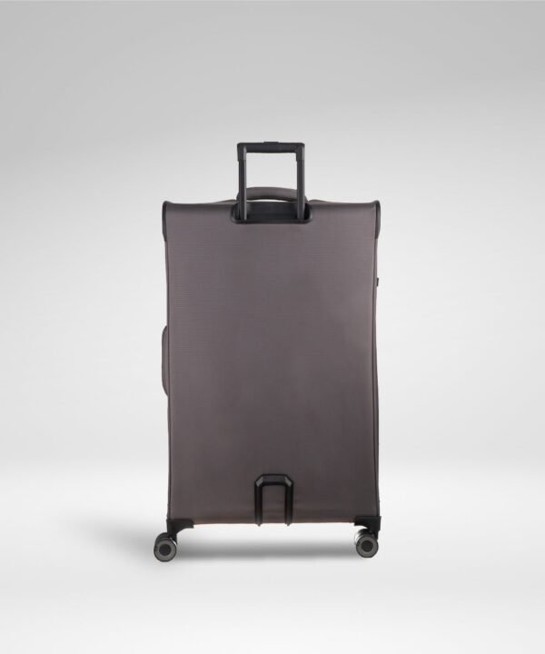 IT Luggage Precursor